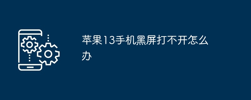 苹果13手机黑屏打不开怎么办