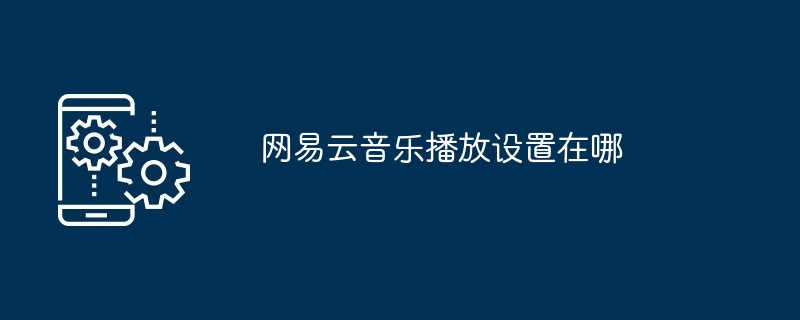 网易云音乐播放设置在哪